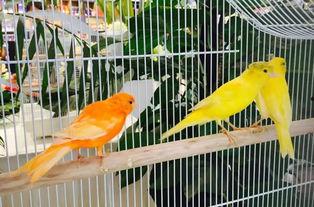 郑州公司吃瓜娱乐,吃瓜娱乐背后的职场生态探秘 第3张 郑州公司吃瓜娱乐,吃瓜娱乐背后的职场生态探秘 第3张